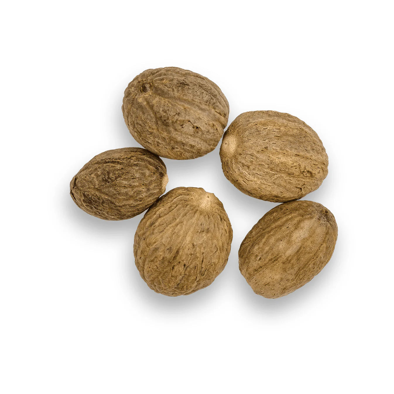 Muskatnuss ganz  No. 913 Bio 50g